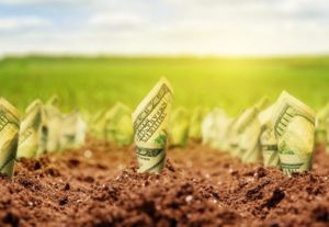 Льготы сотрудникам полиции и их женам: какие имеются