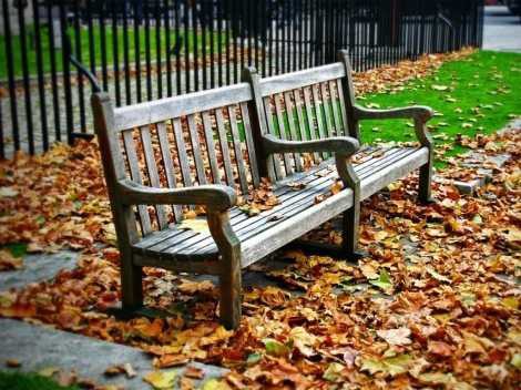 Садовая скамейка со спинкой своими руками: чертежи интересных задумок для реализации