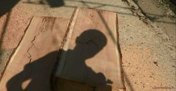 Садовая скамейка со спинкой своими руками: чертежи интересных задумок для реализации