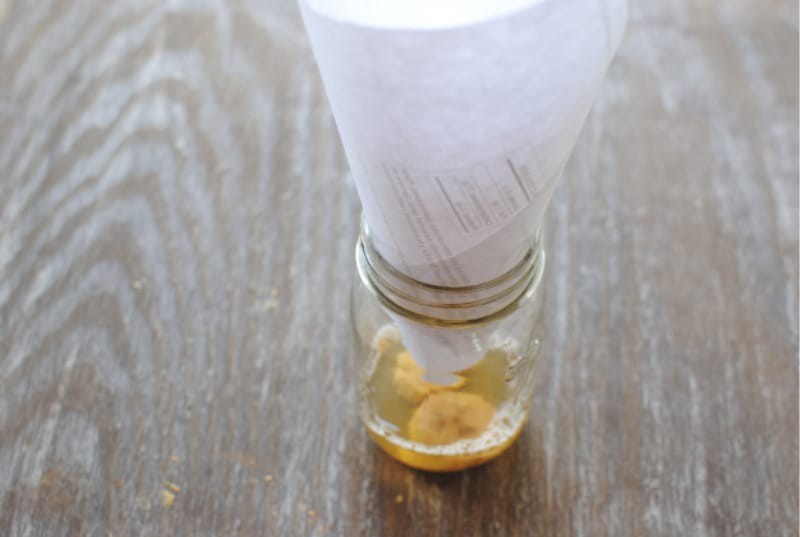 Как избавиться от мошек на кухне – пошаговая инструкция с ловушками и без