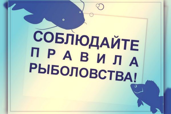 Новые правила любительского рыболовства: новости 2019 Новые правила любительского рыболовства: новости 2019
