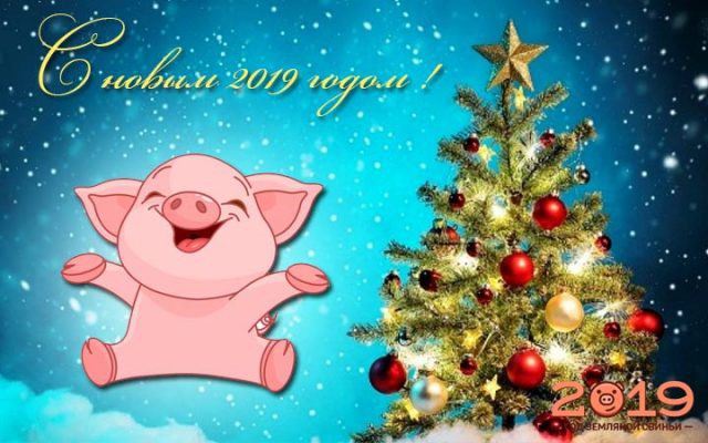Картинки с Новым годом 2019 Свиньи (кабана): яркие открытки с прикольными поздравлениями