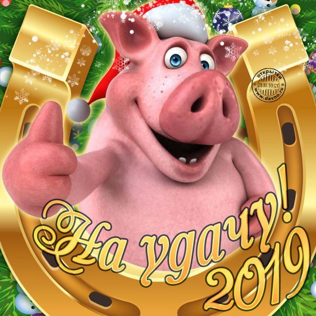 Картинки с Новым годом 2019 Свиньи (кабана): яркие открытки с прикольными поздравлениями