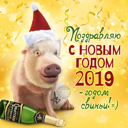 Картинки с Новым годом 2019 Свиньи (кабана): яркие открытки с прикольными поздравлениями