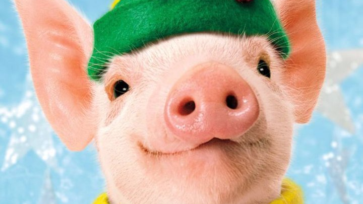 Короткие поздравления с Новым годом 2019 — красивые, коллегам