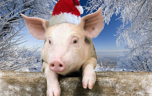 Короткие поздравления с Новым годом 2019 — красивые, коллегам