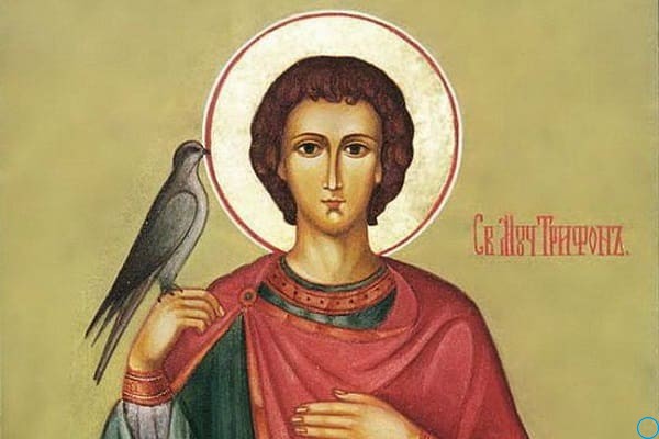 28 декабря 2018 Трифонов день: что можно и нельзя делать, приметы, поверья, традиции праздника