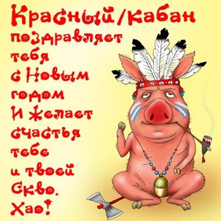 Поздравления с Новым годом Свиньи 2019 прикольные в стихах