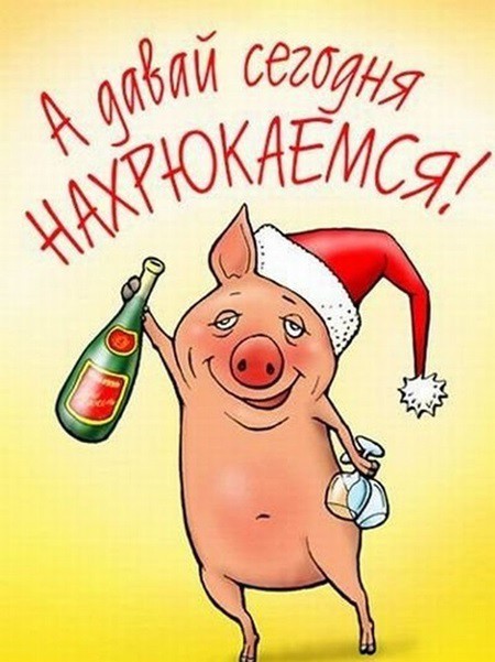 Поздравления с Новым годом Свиньи 2019 прикольные в стихах