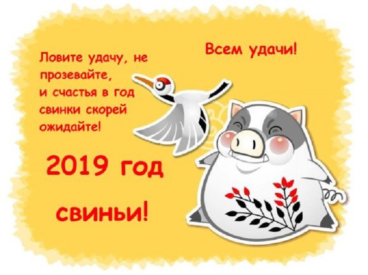 Поздравления с Новым годом Свиньи 2019 прикольные в стихах