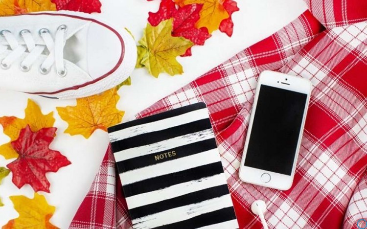 Зимние каникулы 2018-2019 у школьников продлятся две недели