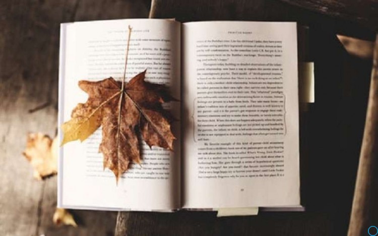 Зимние каникулы 2018-2019 у школьников продлятся две недели