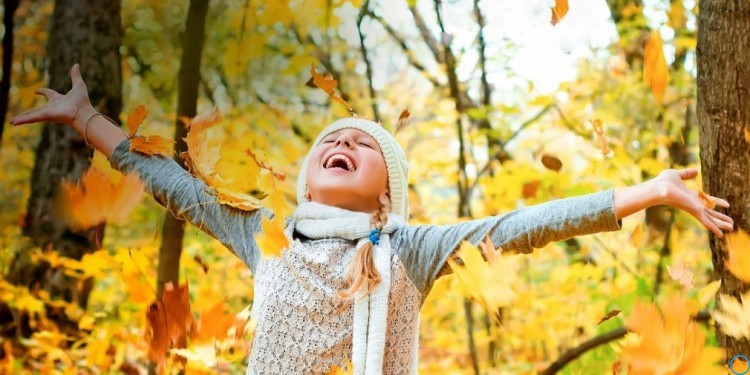 Зимние каникулы 2018-2019 у школьников продлятся две недели