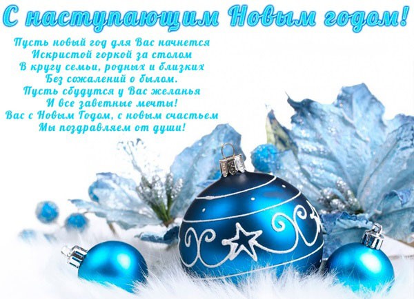 Официальные и прикольные поздравления коллегам с Новым 2019 годом Свиньи (Кабана)