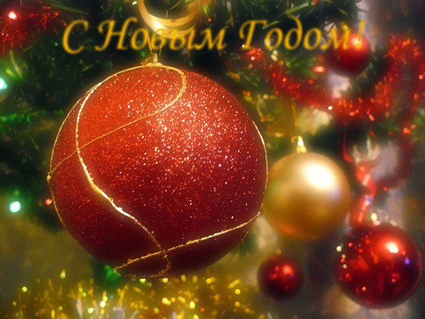 Официальные и прикольные поздравления коллегам с Новым 2019 годом Свиньи (Кабана)