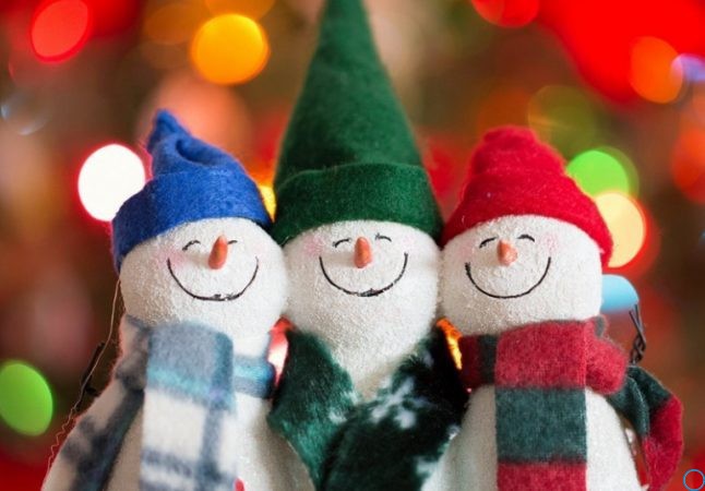 Новый год 2019: год какого животного, год кого, какой символ года, характеристика, прогноз астролога на 2019