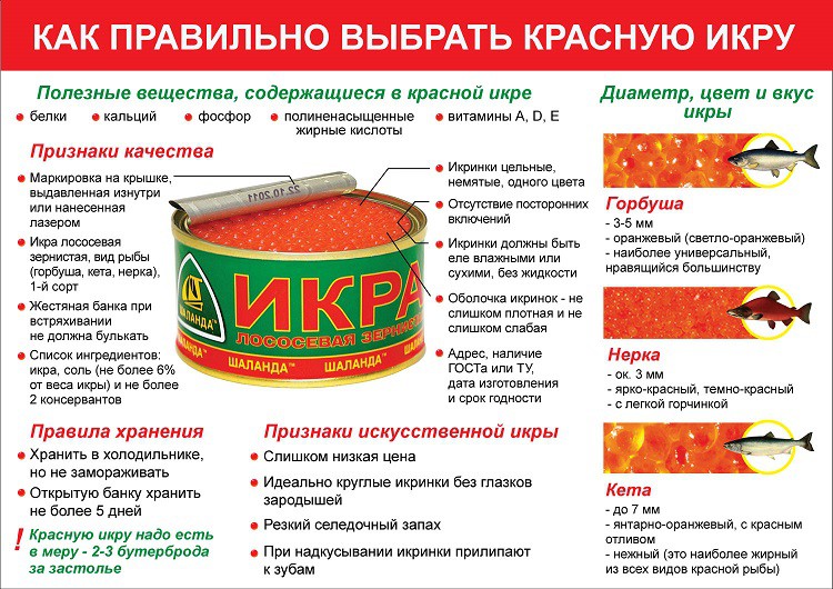 Как правильно выбрать икру на Новый год 2019 — какая икра лучше