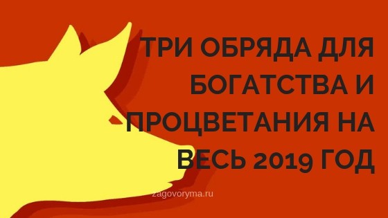 Как привлечь богатство и финансовое благополучие в Новом 2019 году: денежные обряды и ритуалы, которые можно провести в новогоднюю ночь