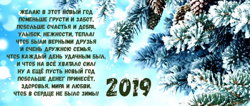 Картинки с Новым годом 2019 Свиньи (кабана): яркие открытки с прикольными поздравлениями