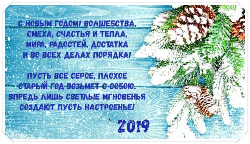 Картинки с Новым годом 2019 Свиньи (кабана): яркие открытки с прикольными поздравлениями