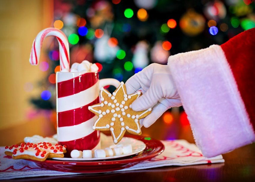 Официальные и прикольные поздравления коллегам с Новым 2019 годом Свиньи (Кабана)