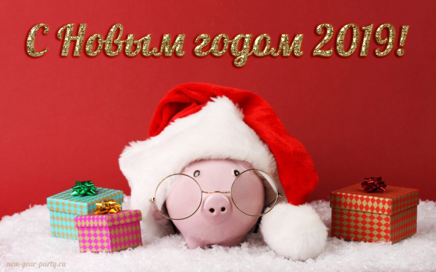Официальные поздравления с Новым 2019 годом коллегам по работе