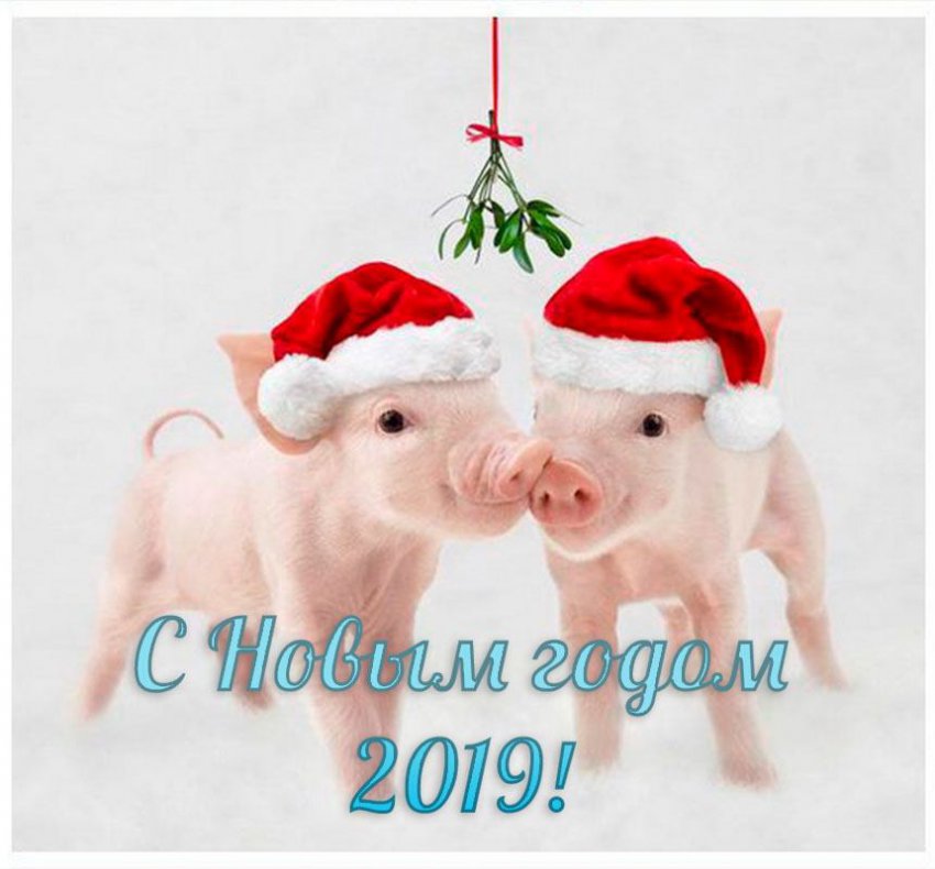 Официальные поздравления с Новым 2019 годом коллегам по работе