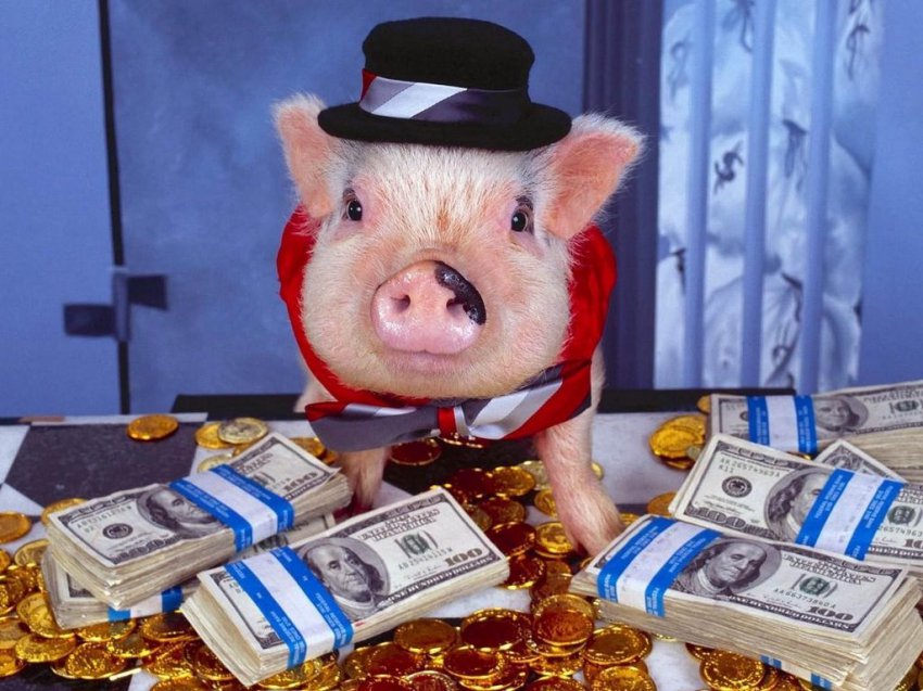 Как привлечь богатство и финансовое благополучие в Новом 2019 году: денежные обряды и ритуалы, которые можно провести в новогоднюю ночь