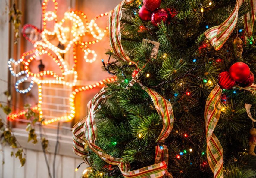 Красивые поздравления коллегам с Новым 2019 годом Кабана (Свиньи): официальные и прикольные?