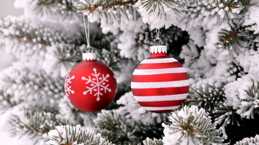 С наступающим Новым 2019 годом, красивое и волшебное поздравление близким, друзьям, коллегам