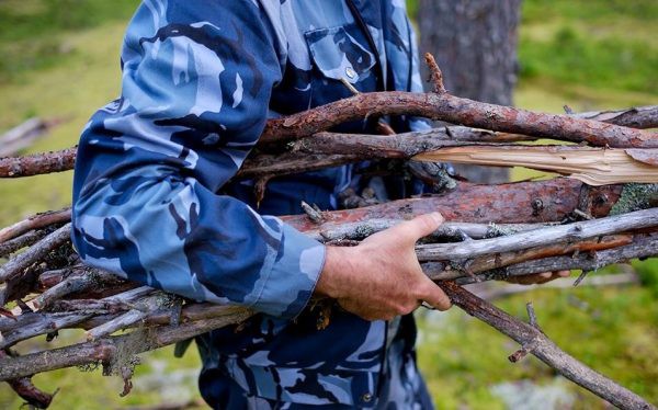 Последние новости о валежнике с 2019 года Последние новости о валежнике с 2019 года