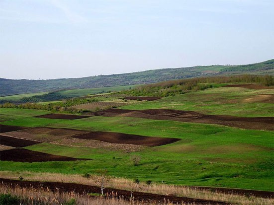 Новый налог на землю с 2019 года — последние новости