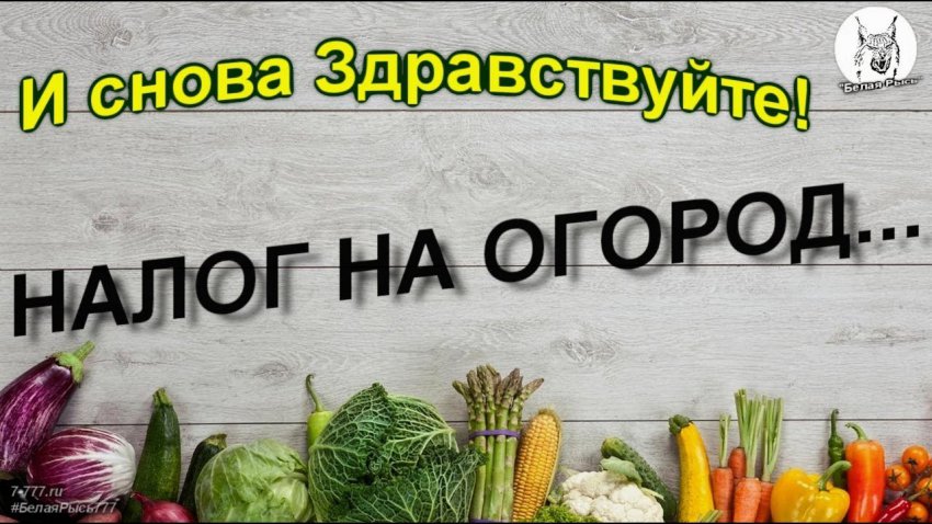 В РФ вступил в силу налог на огород