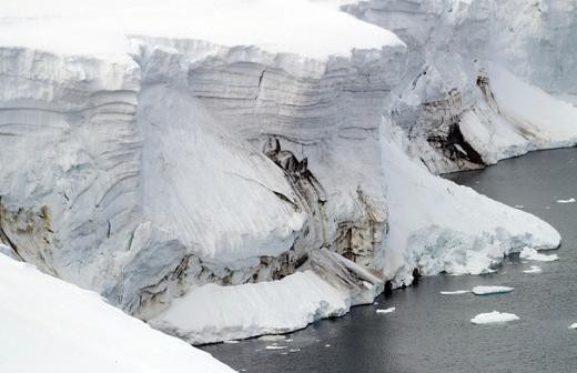 Удар по печени: как микропастик проникает в пищу