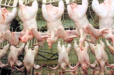 Ученые выяснили, что курятина провоцирует рак