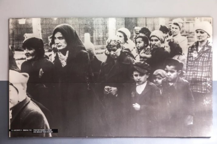 «Операция Т-4». Евгеника на вооружении Третьего рейха