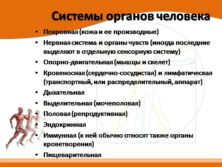 Движение - жизнь. Природосообразность двигательной активности человека