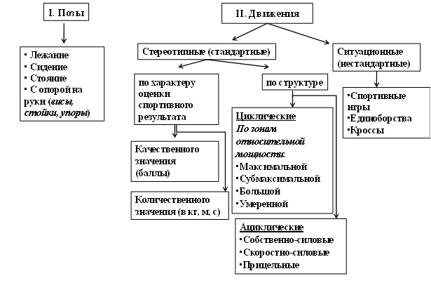 Движение - жизнь. Природосообразность двигательной активности человека