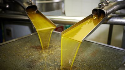 Медики нашли связь между пальмовым маслом и раком