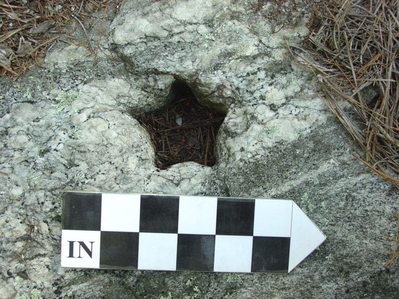 Откуда звёздные отверстия в толще гранита?