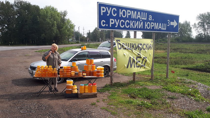 Массовая гибель пчёл связана с производством рапса для Европы