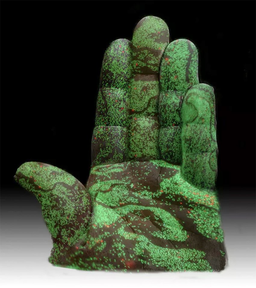 Удар по печени: как микропастик проникает в пищу