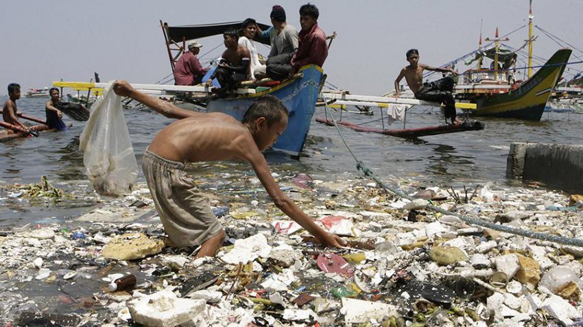 Удар по печени: как микропастик проникает в пищу