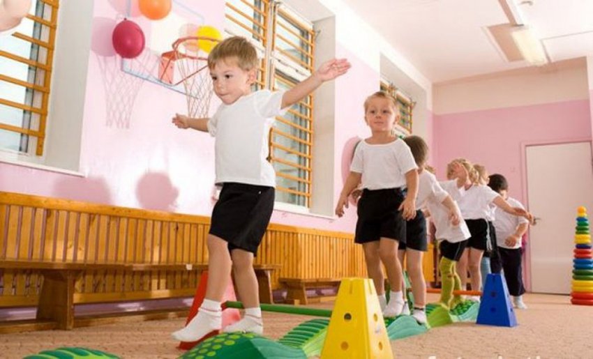 Движение - жизнь. Природосообразность двигательной активности человека