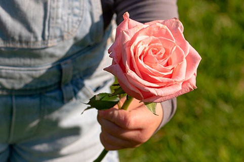 Какого числа празднуется день матери в 2019 году в России?