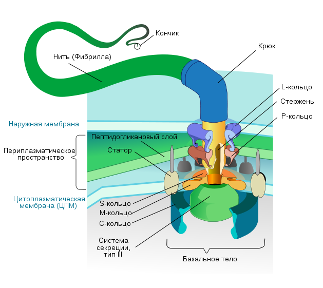 Искусственно созданный мир - биологический аватар как основа жизни