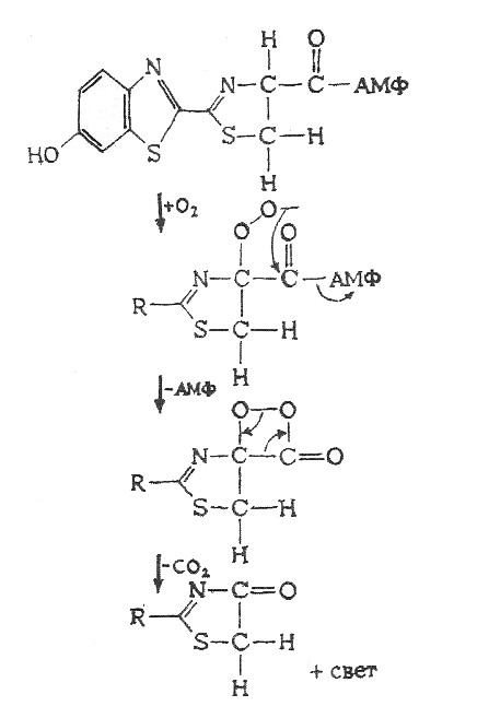 Искусственно созданный мир - биологический аватар как основа жизни