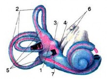 Искусственно созданный мир - биологический аватар как основа жизни