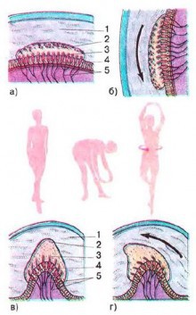 Искусственно созданный мир - биологический аватар как основа жизни
