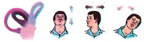 Искусственно созданный мир - биологический аватар как основа жизни